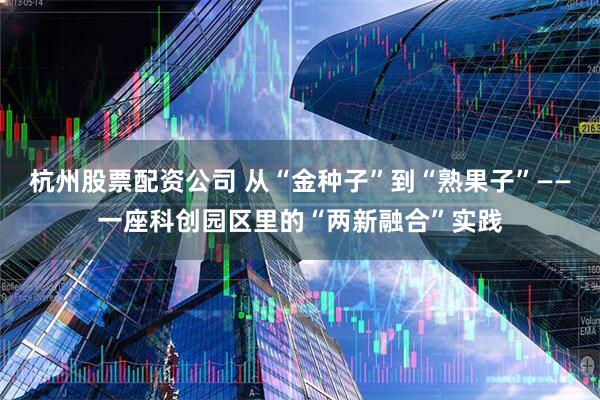 杭州股票配资公司 从“金种子”到“熟果子”——一座科创园区里的“两新融合”实践